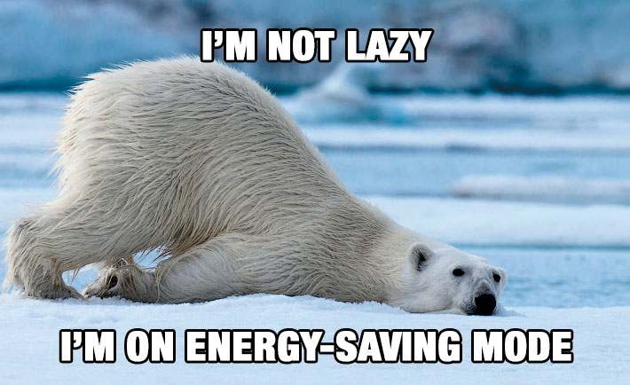 optimized-things-saudis-dont-say-lazy-bear