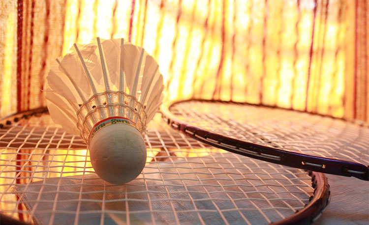 badminton-166416_960_720