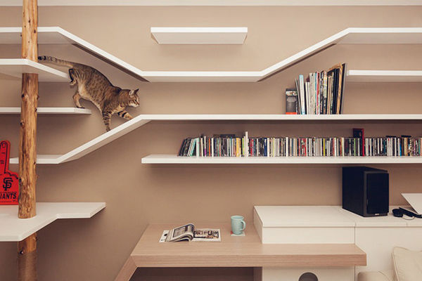 felinefriendly-shelves