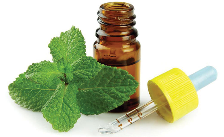 peppermint-and-oil-bottle