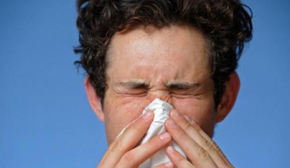 8 Ways To Fight Common Allergies