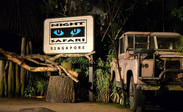 Experiencing The World’s Most Popular Night Safari In Singapore