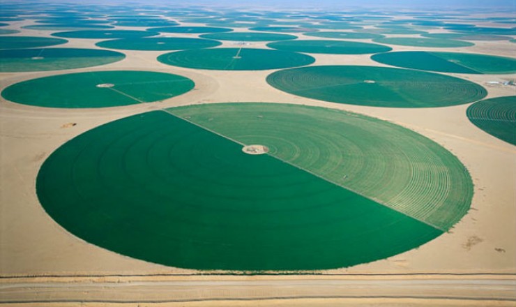 Farms in Saudi Arabia | Photo Credits: i.telegraph.co.uk