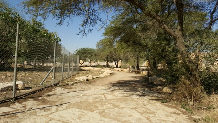 Discover the Hidden Walk Trail at the Diplomatic Quarter