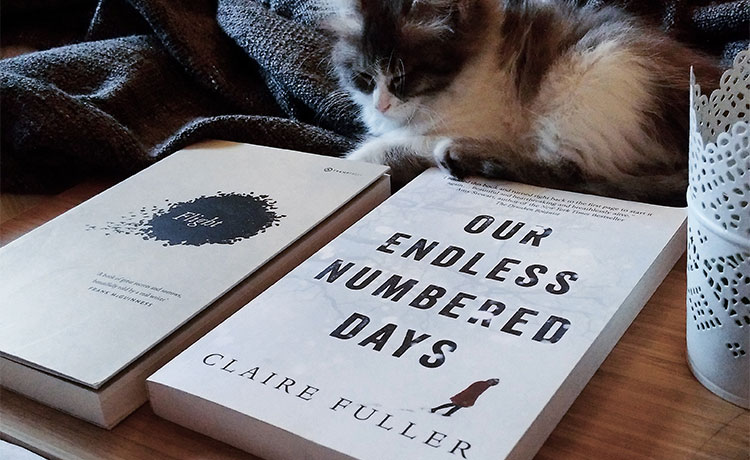our endless numbered days book