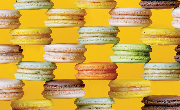 A Collection for Your Macaroon Addiction