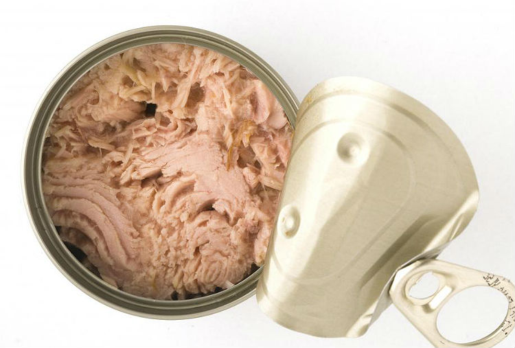 can-of-tuna-with-lid-torn-mostly-off