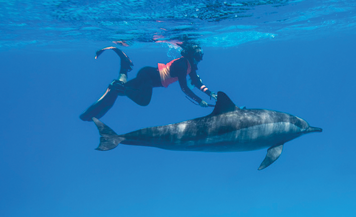 During an 8 day excursion in the Red Sea, diving multiple times a day and swimming with dolphins.