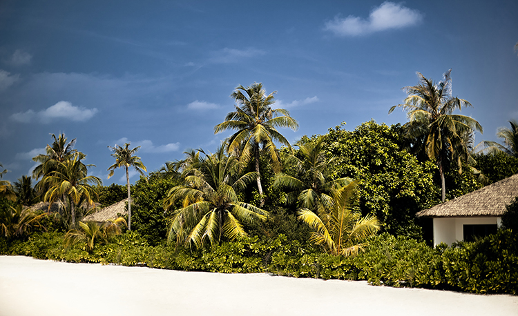 le-meridien-maldives-resort-spa_beach-copy