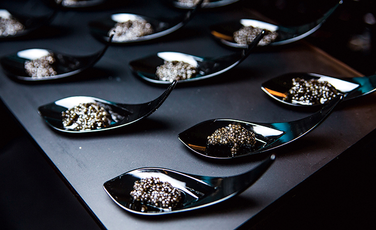black caviar on black spoons