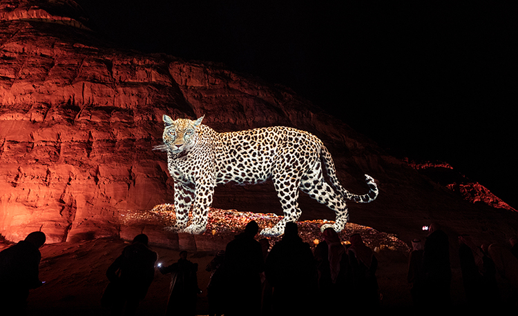 Welcome to the Scene, the Arabian Leopard Day
