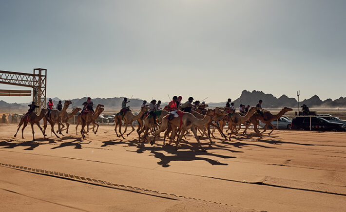 AlUla Camel Cup Kicks off with Elite Camel Racing, Desert-inspired Fashion, & Ancient Culture & Heritage Fused with Modernity