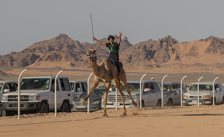 AlUla Camel Cup Kicks off with Elite Camel Racing, Desert-inspired Fashion, & Ancient Culture & Heritage Fused with Modernity