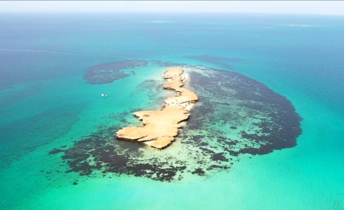 جزيرة فرسان وجهة بحرية مميزة في السعودية