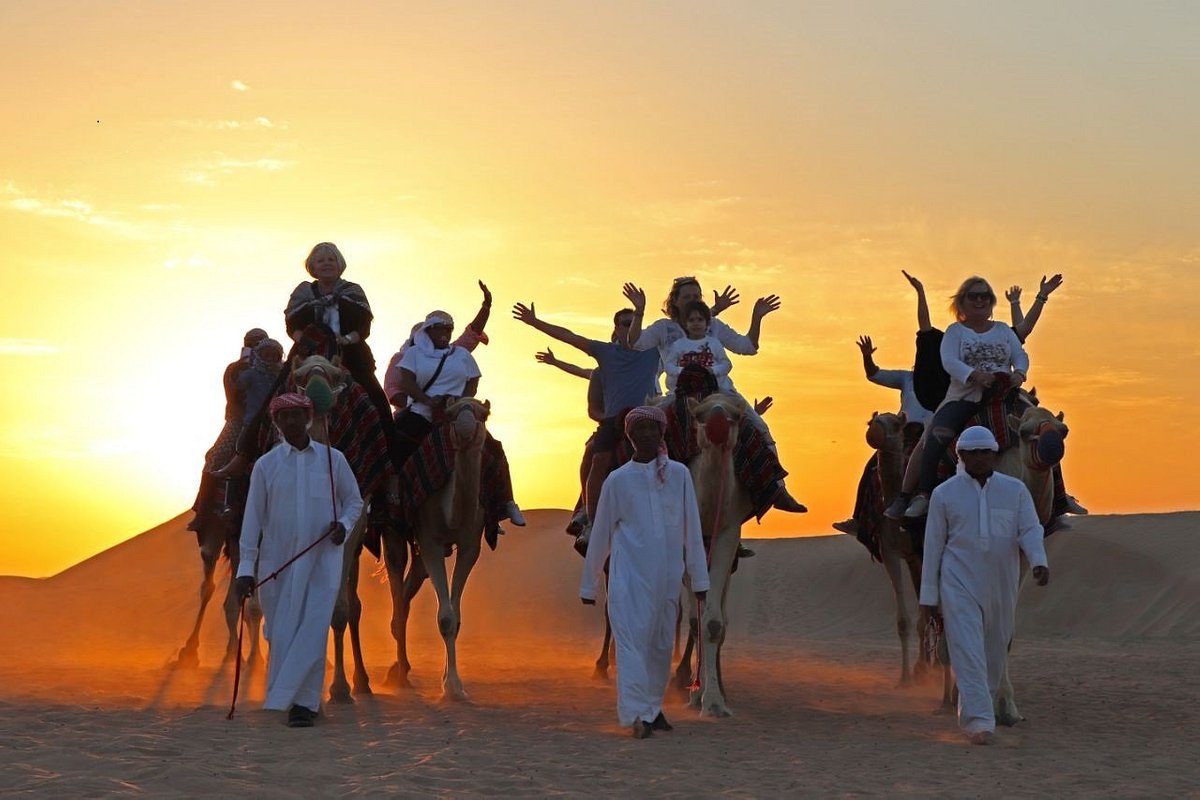 السياحة الصحراوية في السعودية أبرز المناطق والأنشطة الصحراوية
