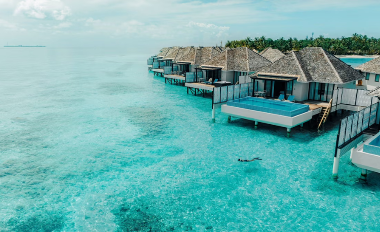 Exploring South Ari Atoll: A Solo Traveler's Guide to the Maldives