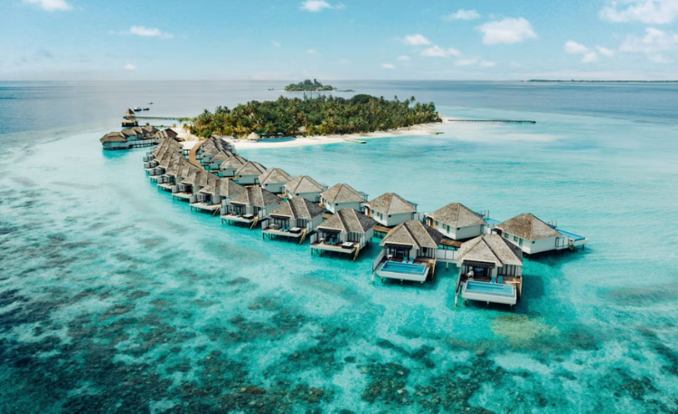 Exploring South Ari Atoll: A Solo Traveler's Guide to the Maldives