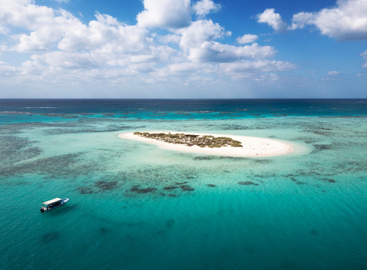 شواطئ-املج1