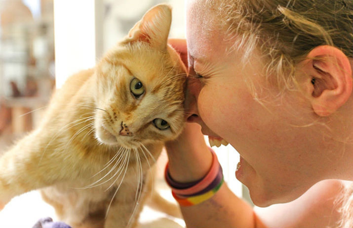 adoption-process-1_61607