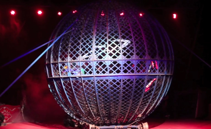 optimized-bellucci-circus-4