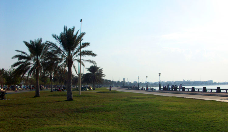 optimized-picnic-food-feature