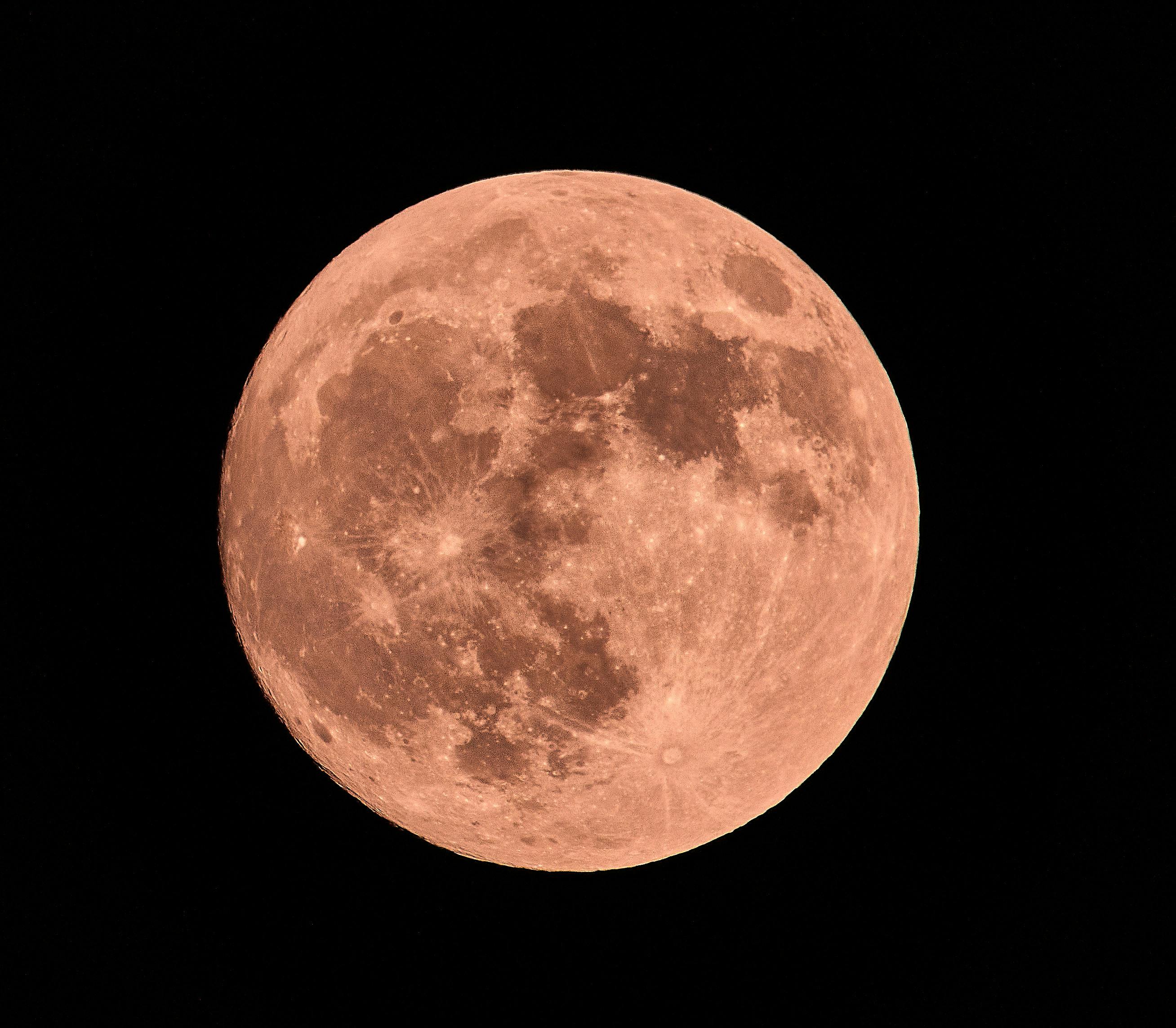 2024/09/pexels-philipp-fahlbusch-2985340-6591449-1