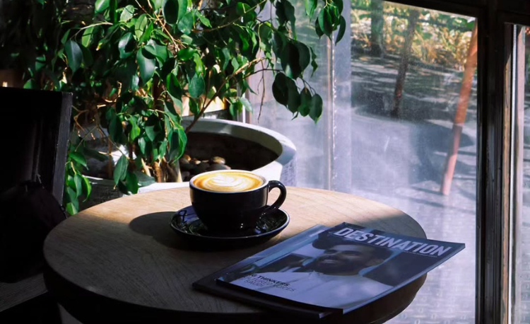 Your Office Away from the Office: 8 Work-Friendly Cafes in Jeddah 7 Work-Friendly Cafes in Jeddah 115 Neighborhood Cafe