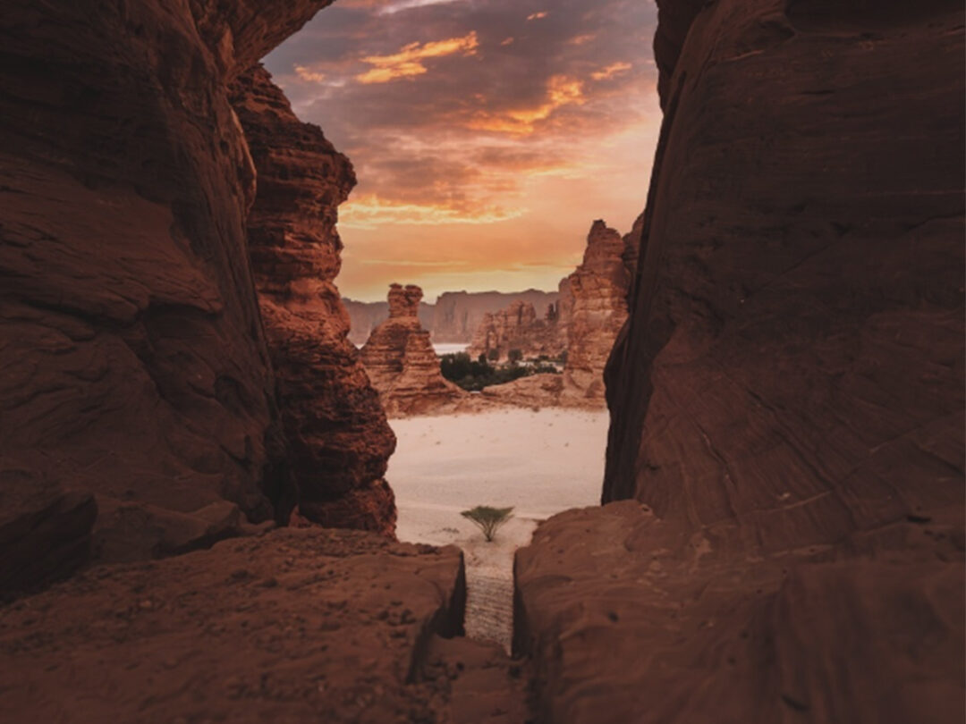 Make memories: AlUla Moments calendar for 2025-2026 has been revealed 2 AlUla Moments calendar