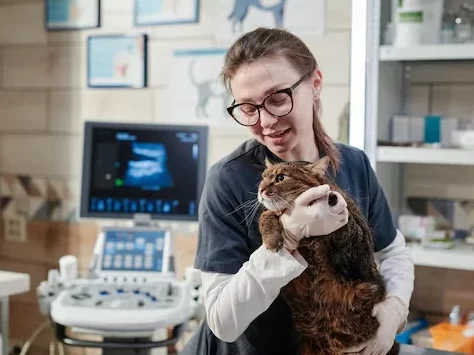 Vet clinics in Riyadh