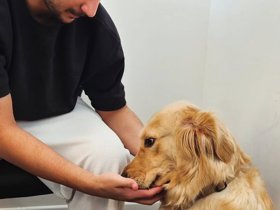 Vet clinics in Riyadh