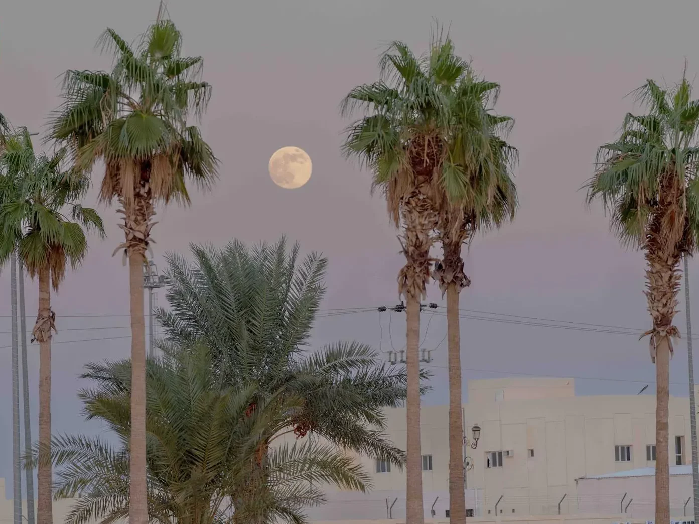 About Jeddah Destination KSA about-jeddah-destination-ksa