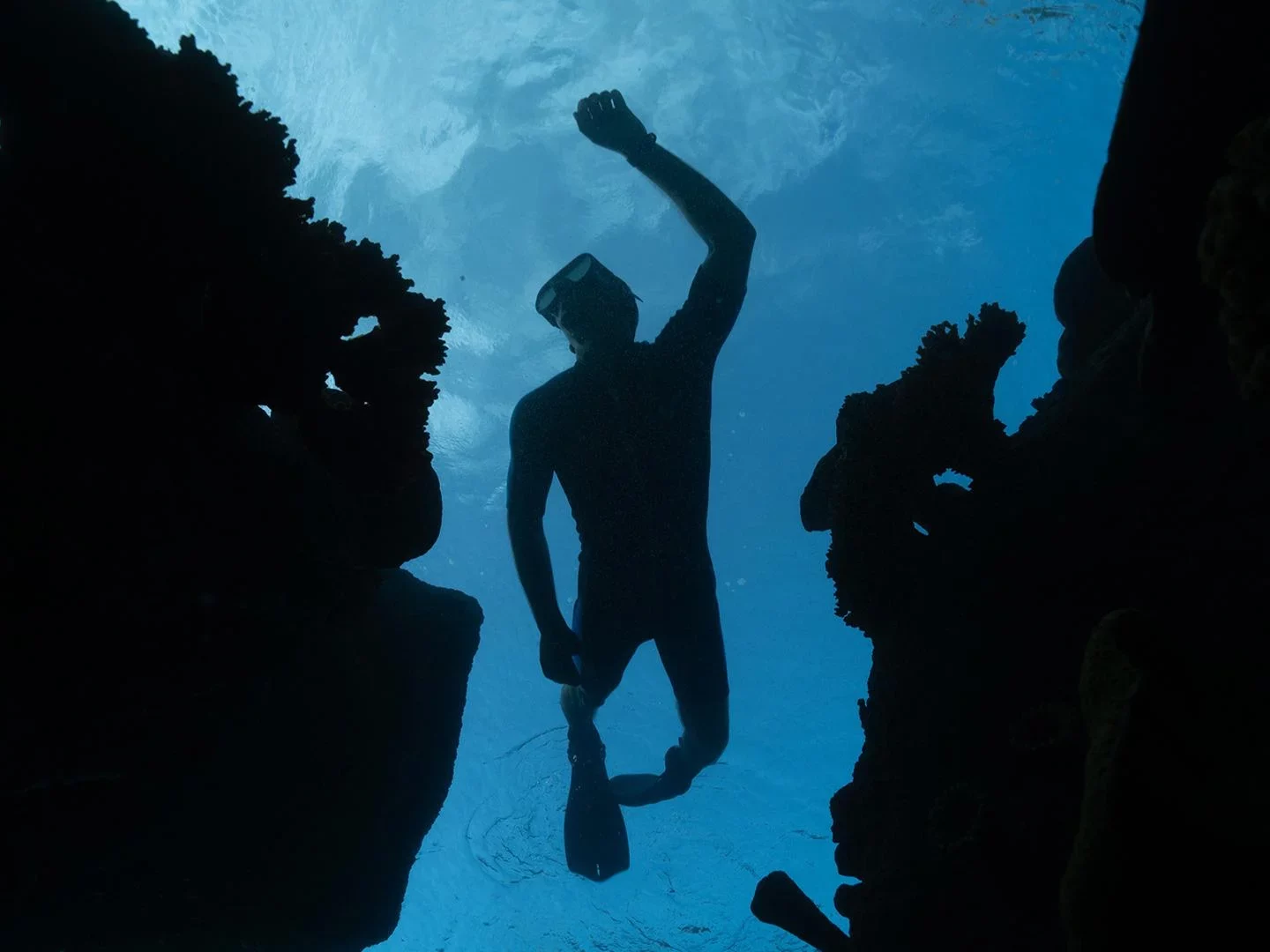 ADRENA Red Sea has been announced