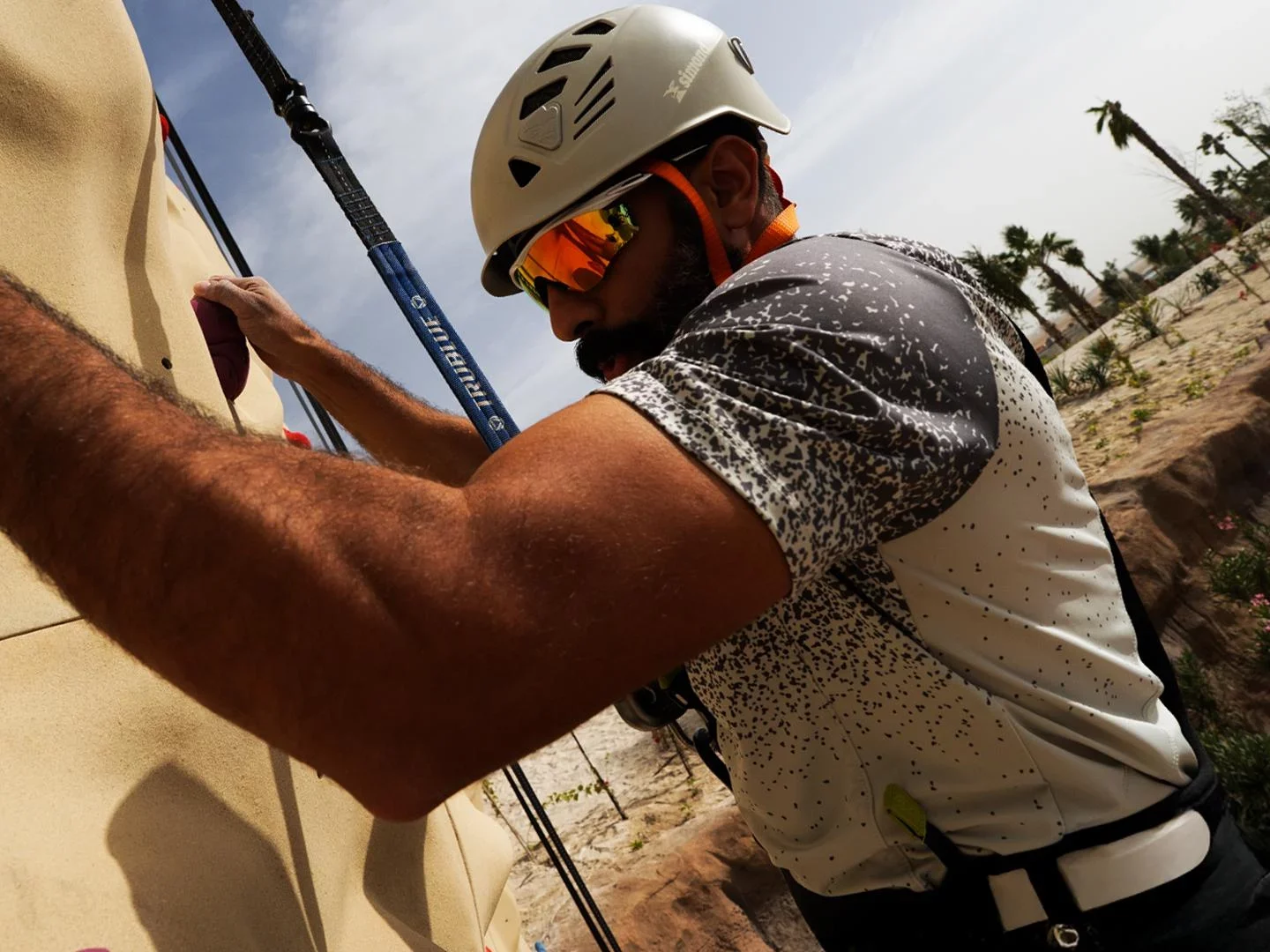 ادرينا البحر الاحمر