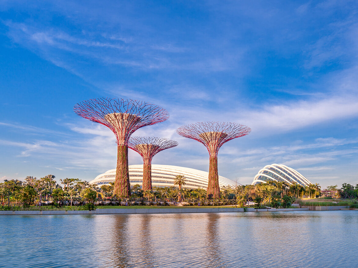 Riyadh to Singapore direct flights restart