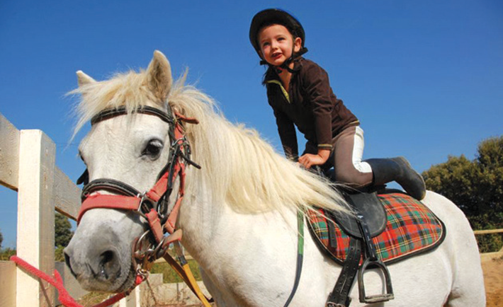 Our Neigh-borhood Animal 2 05-ds-april-2017-64-79-8