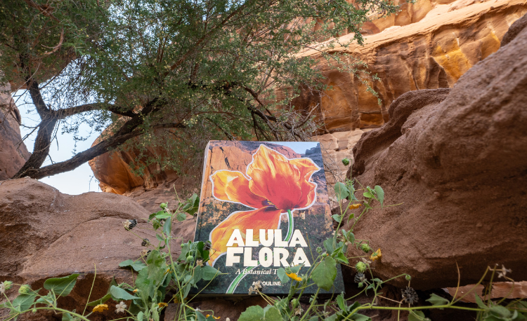 Assouline Launches ‘AlUla Flora’ Celebrating Oasis Flowers 1 1 36 6nd