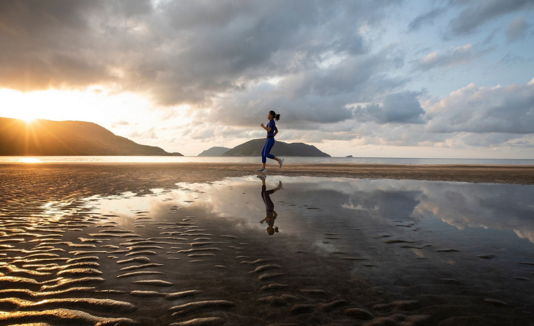 2A792D0D 632B 4029 9B52 19940EA78121