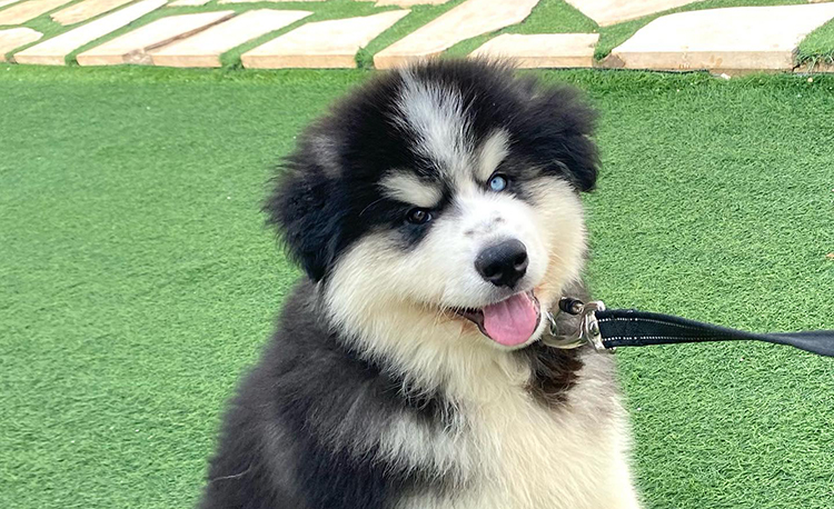 327702914 230070919371273 5774372584567294210 n