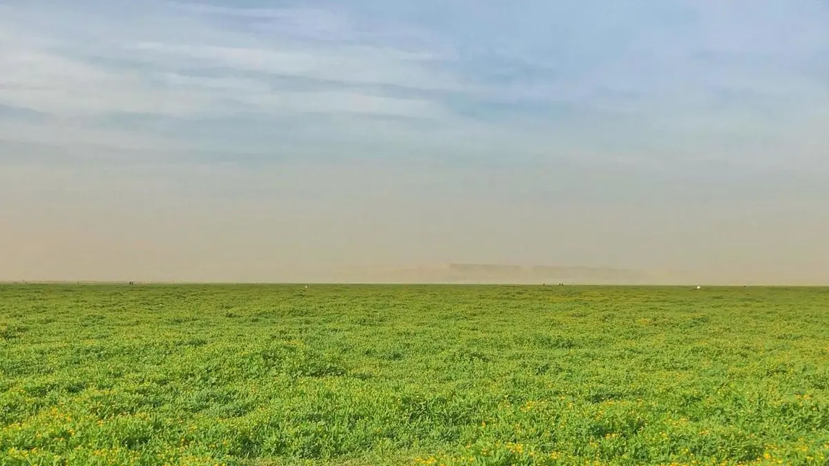 أماكن التخييم في الرياض