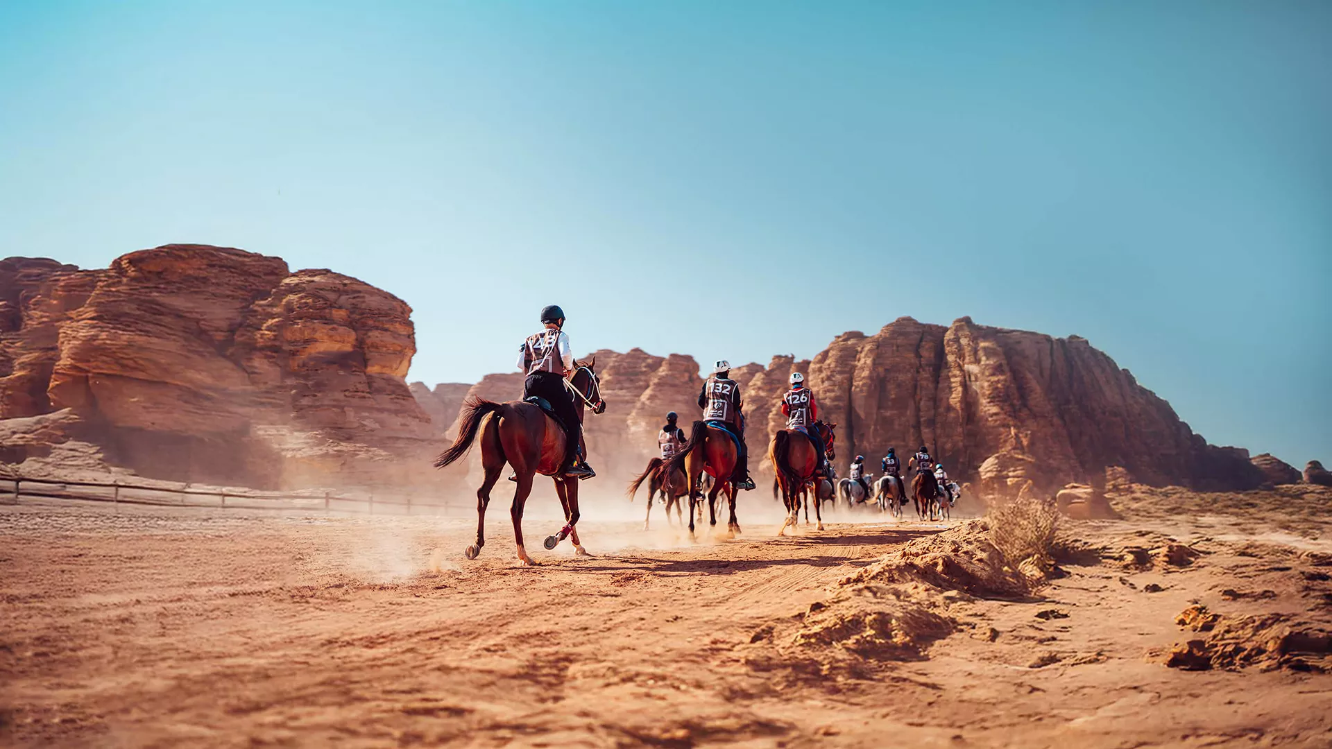 AlFursan Endurance Horse Race