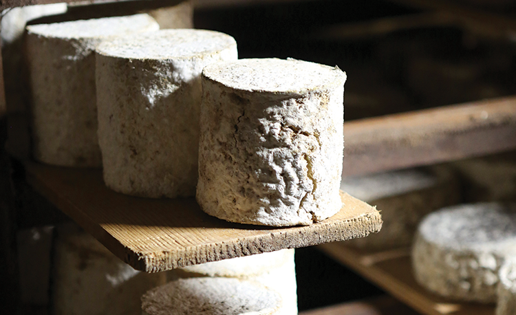 The Fromagerie on Top 3 day-3_-laita-production_butter-of-europe-tour_6-copy