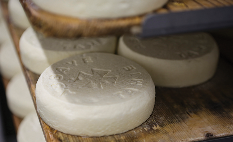 The Fromagerie on Top 1 day-3_-laita-production_butter-of-europe-tour_76-copy