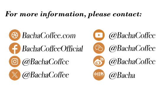 Screenshot 2024 07 28 at 11.09.26 AM