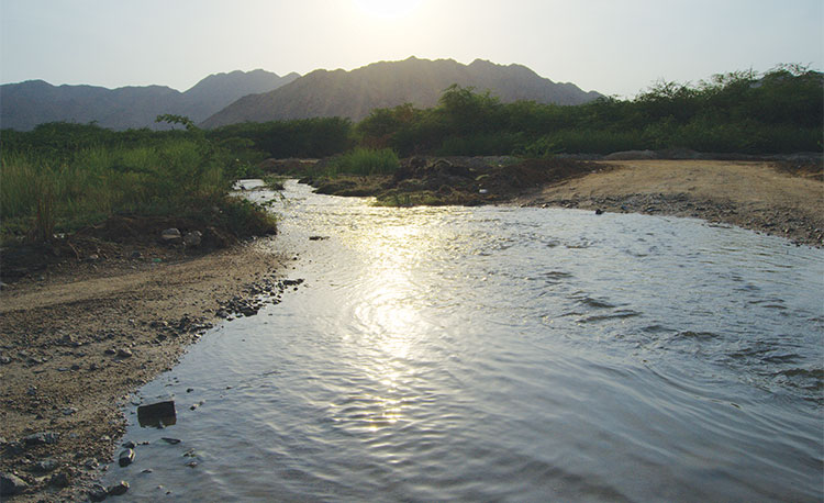 On the Trail of a Natural Hot Water Spring 2 Tring-to-catch-the-sun's-reflection-in-the-stream