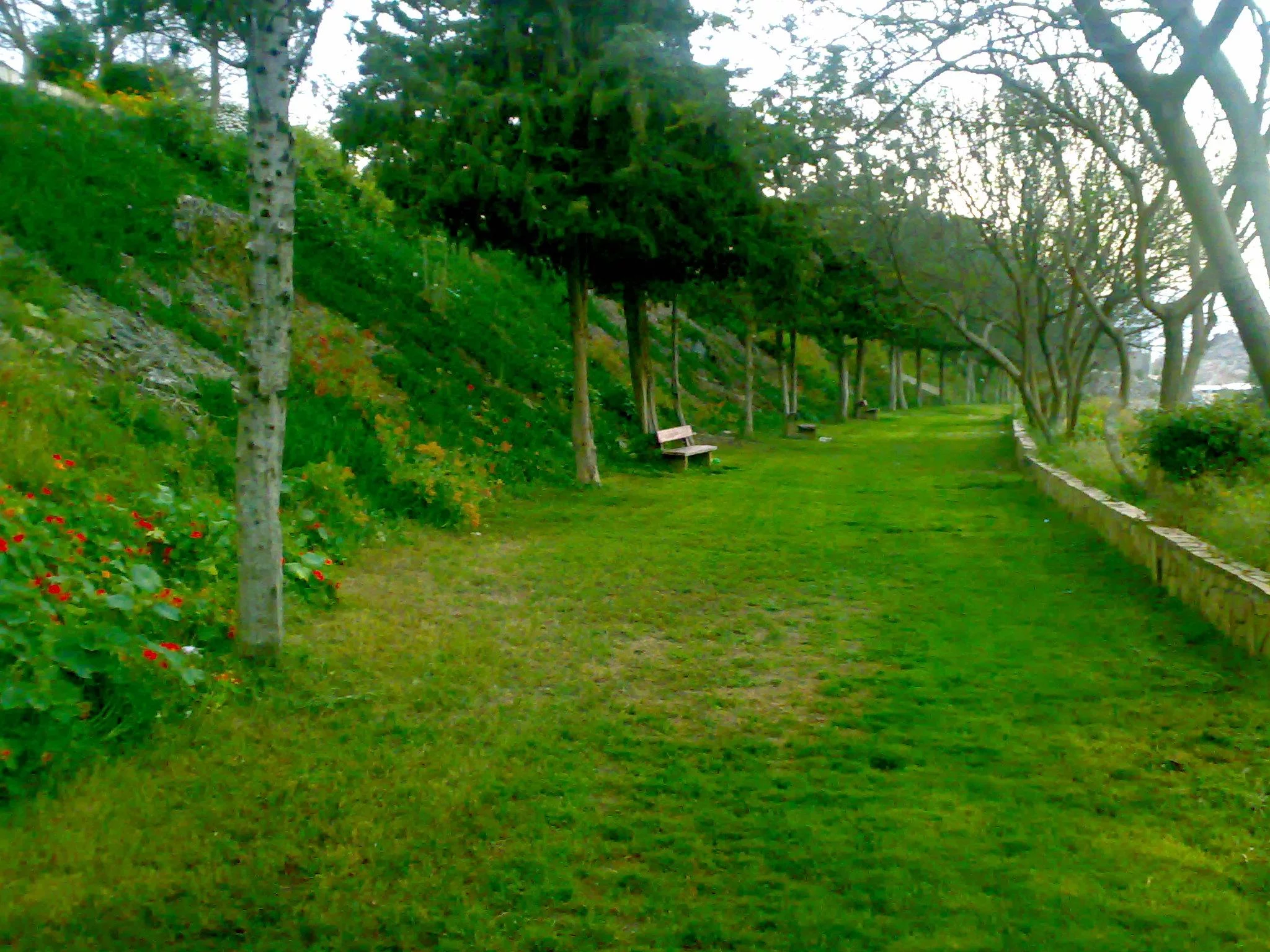 دليلك الشامل عن منتزه الفرعاء 1 دليلك الشامل عن منتزه الفرعاء