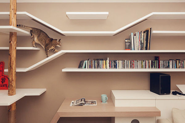 How To Make The World A Better Place For Animals 13 felinefriendly-shelves