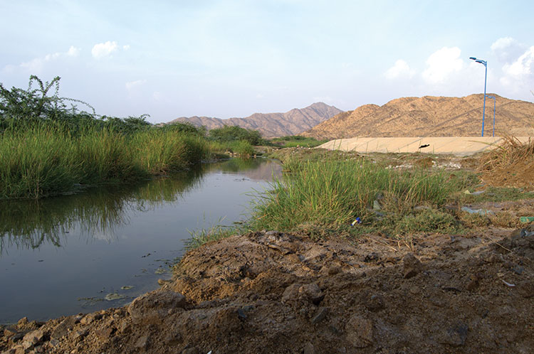 On the Trail of a Natural Hot Water Spring 3 one-of-the-many-streams