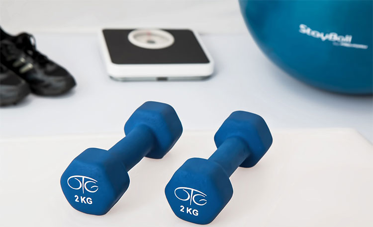 physiotherapy-595529_1280