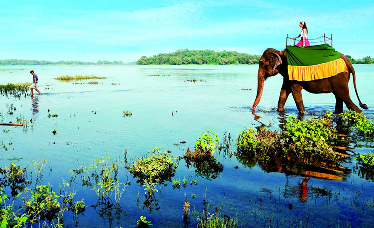 8 Amazing Short-Haul Honeymoon Destinations From Saudi Arabia 5 Photo Credit: tax.thomsonreuters.com