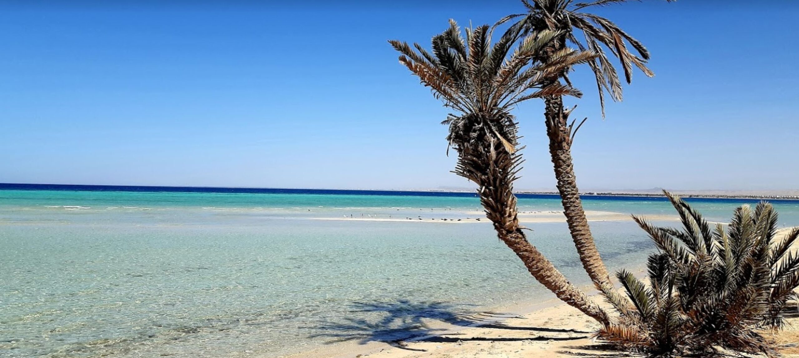 شواطئ أملج.. عطلة مميزة في مالديف السعودية 1 شواطئ أملج